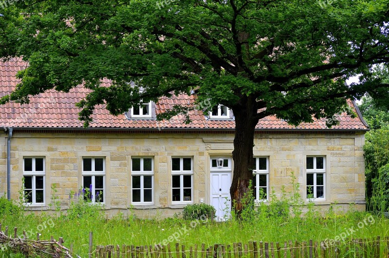 Forest House Dream Home Old Summer Old Tree