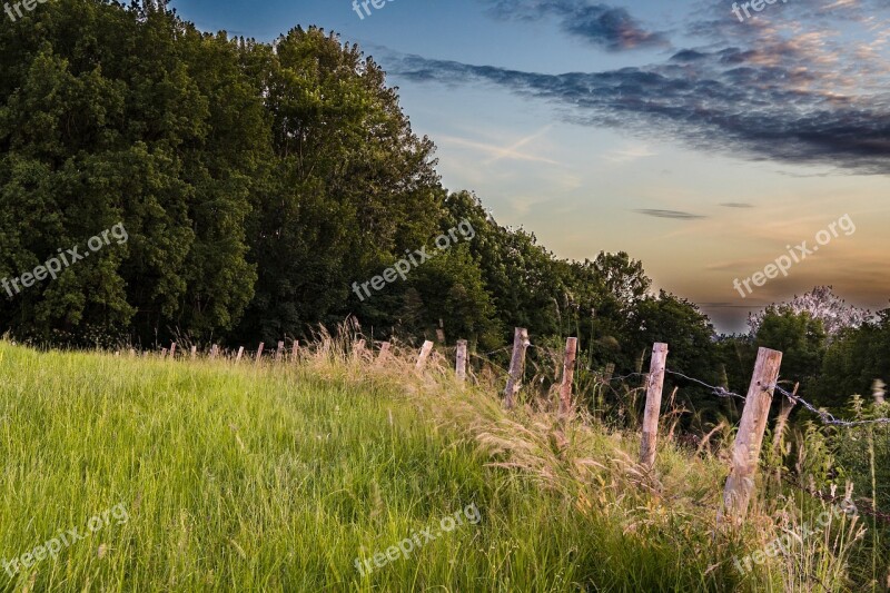 Meadow Fence Pasture Nature Wood