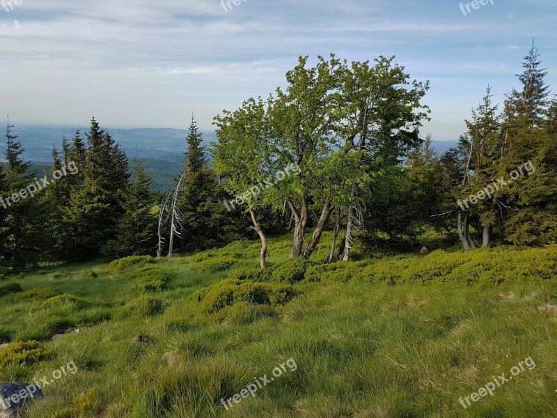 Mountains Krkonoše Giant Mountains Holiday Hiking Trails Nature