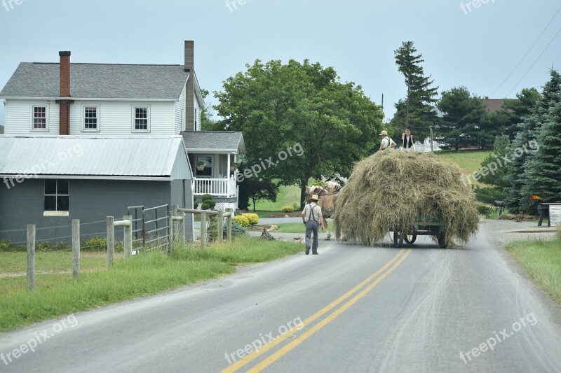 Amish Hay Farming Work Free Photos