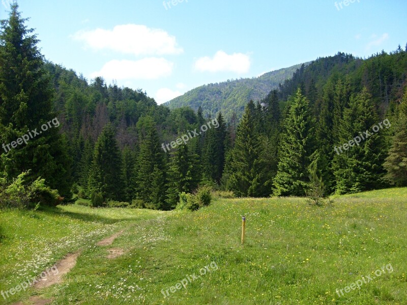 Prosiecká Dolina Rocks Nature Landscape Slovakia