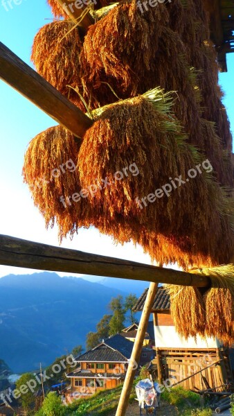 China Rice Guizhou Countryside Village