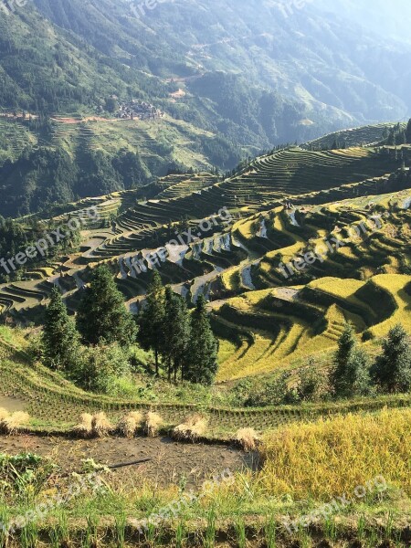 China Rice Guizhou Rural Free Photos