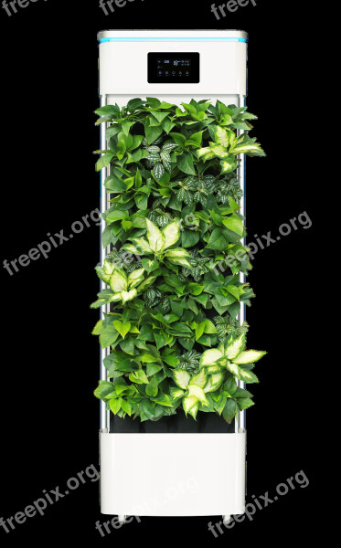 Smart Plant Purifier Air Purifier Plant Free Photos