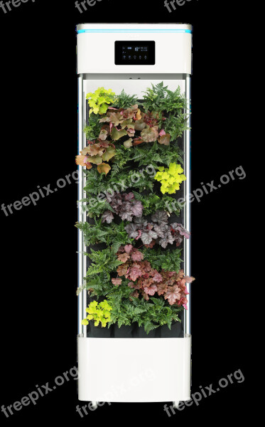 Smart Plant Purifier Air Purifier Plant Free Photos