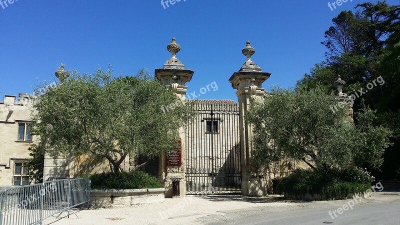 Olive Trees Trees Entry Portal Avignon