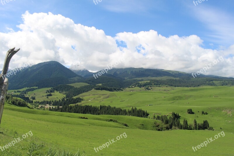 Prairie The Scenery In Xinjiang Free Photos