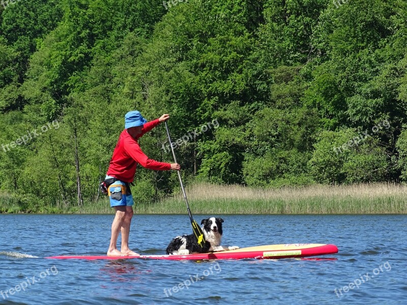 Paddle Rowing Stand Paddle Lake Water Sports