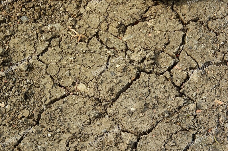 Cracked Earth Drought Dry Soil The Dry Ground Cracks In The Earth