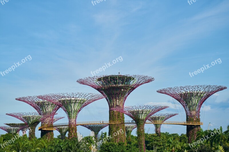 Singapore Park Landscape Color Image Garden