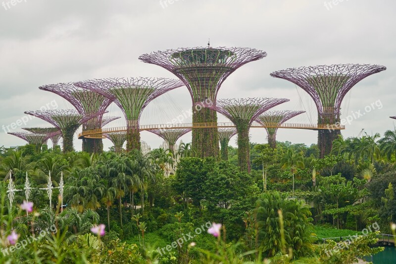 Singapore Park Landscape Color Image Garden