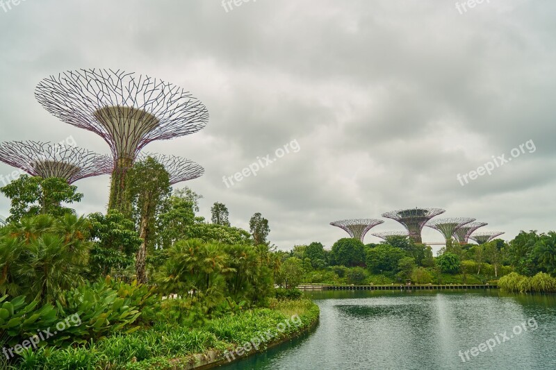 Singapore Nature Park Tree Relax