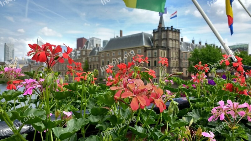 Binnenhof Flowers Den Haag Netherlands Parliament