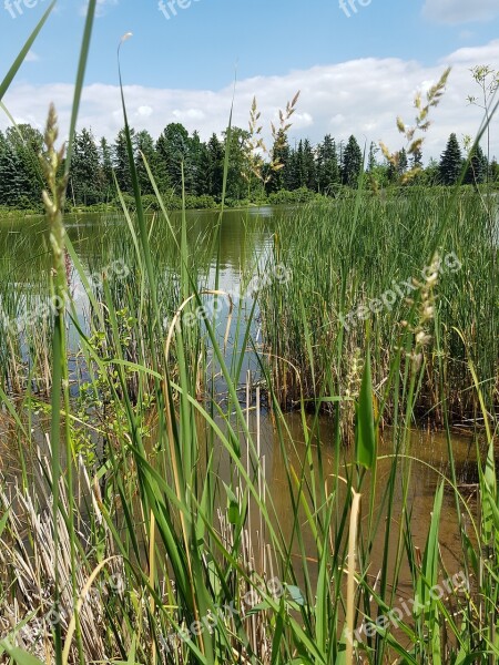 Nature Lakes Reed Resting Point Fish Locations