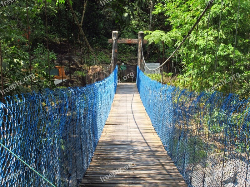 Canopy Walk Bridge Bridge Walk Free Photos