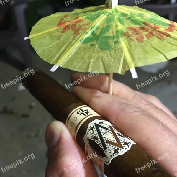 Cigar Rain Umbrella Tobacco Avo