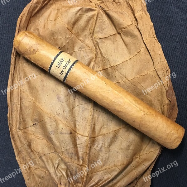 Tobacco Leaf Tobacco Cigar Cigar With Leaf Free Photos