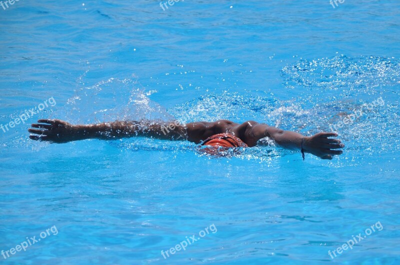 Swimming Water I Swim Swim Competition