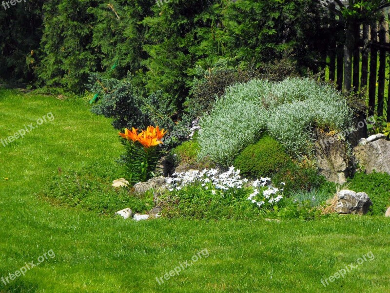 Garden Skalka Flowers Grass Decoration