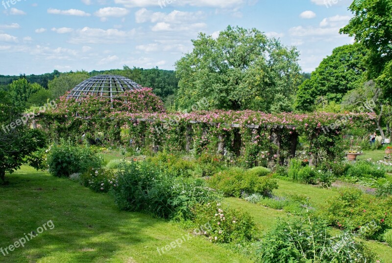 Rose Height Darmstadt Hesse Germany Rosarium