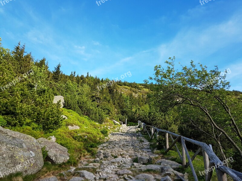 Krkonoše Giant Mountains Mountains Holiday Hiking Trails Nature