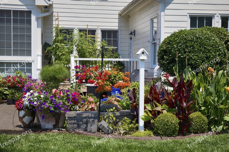 Backyard Flowers Garden Green Red