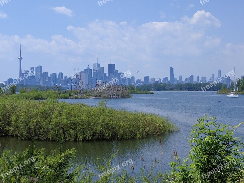 Tony Thompson Park Toronto Canada Urban Park Green