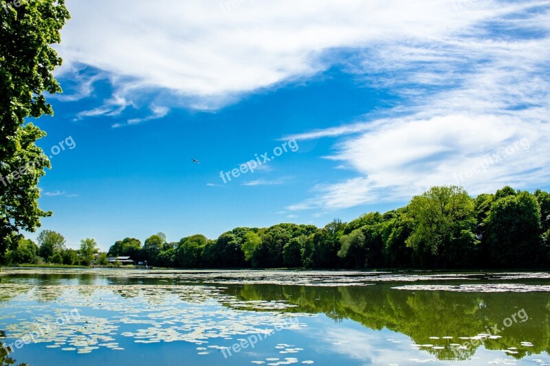 Lagoon Water Fish Bychawa Poland