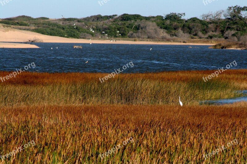 Lagoon Sandy Nature Beach Water