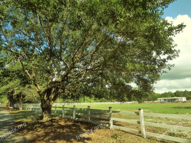 Fence Oak Farm Free Photos