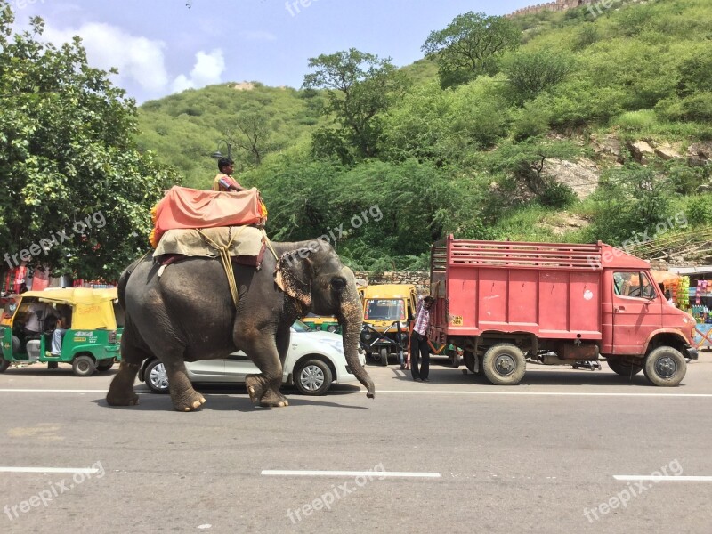 Elephant Riding Road Animal Ride