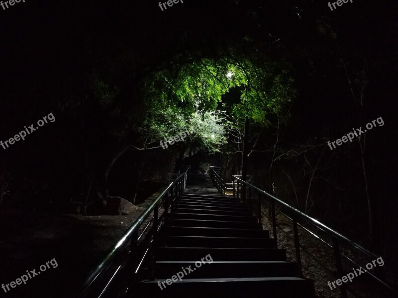 Night Stairs Nightshot Dark Trees