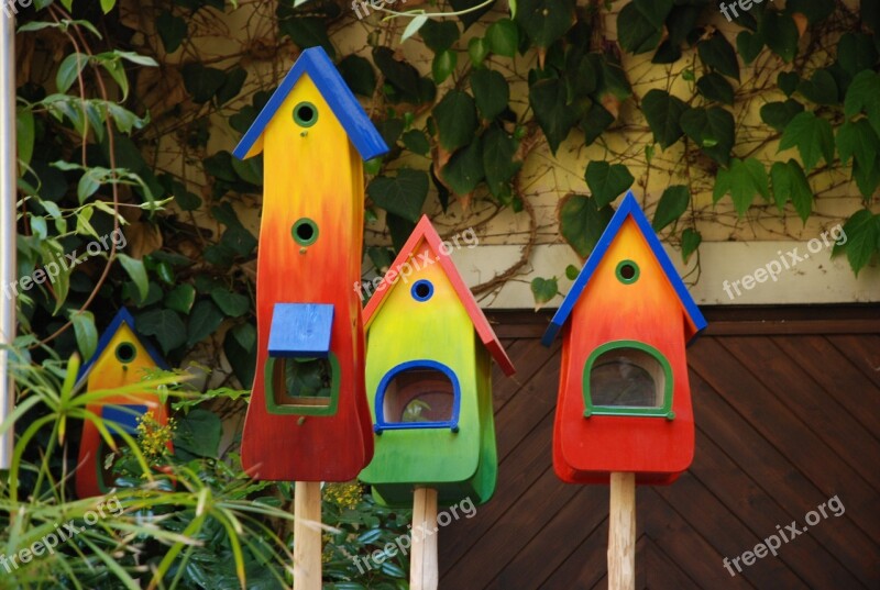 Colorful Bird Feeder Nesting Box Colored Color