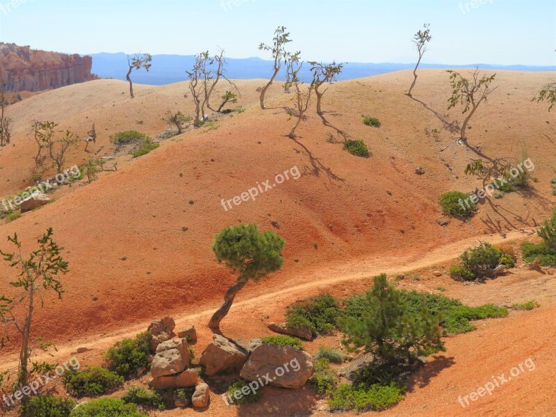 Bryce Canyon Hiking Trail Red Utah Free Photos