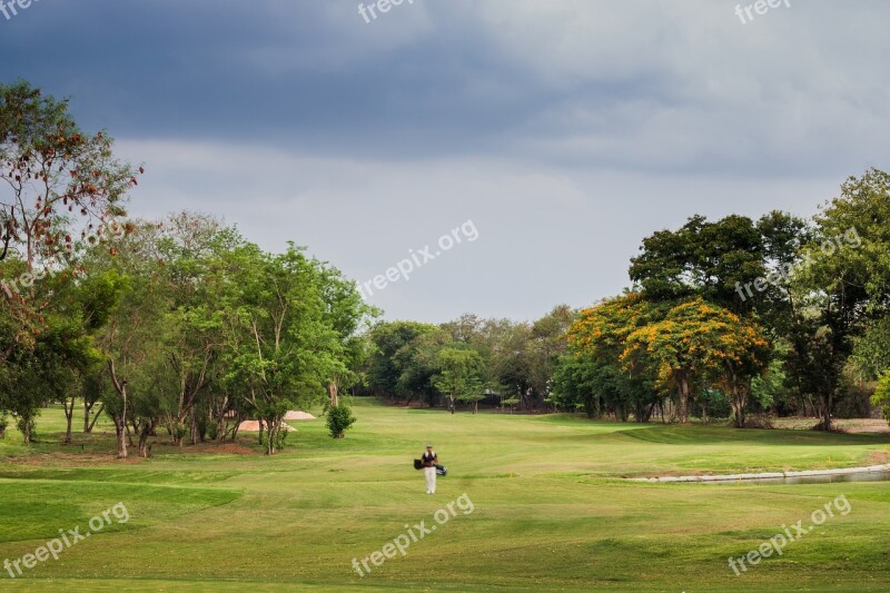 Golf Course Golfing Golf Course Green