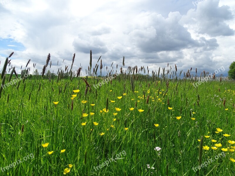 Clouds Meadow Landscape Nature Sky