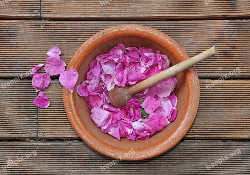 Rose The Petals Jam Ucieranie Rose Petals