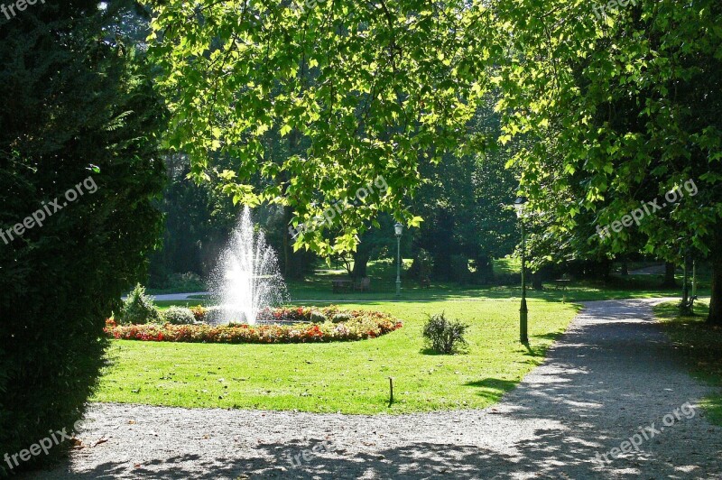 In The Kurpark Fountain Pond Rush Flowers