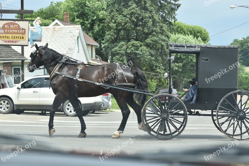 Amish Amish Buggy Ohio Buggy Free Photos