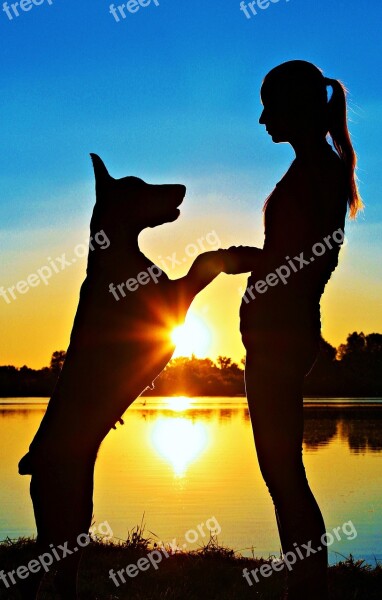 Doberman Silhouette Woman Sunrise Friendship