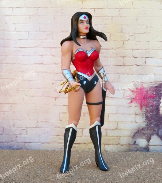 Wonder Woman Superhero Hero Female Costume