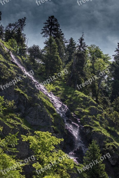 White Water Forest Mountain Forests Water Bach