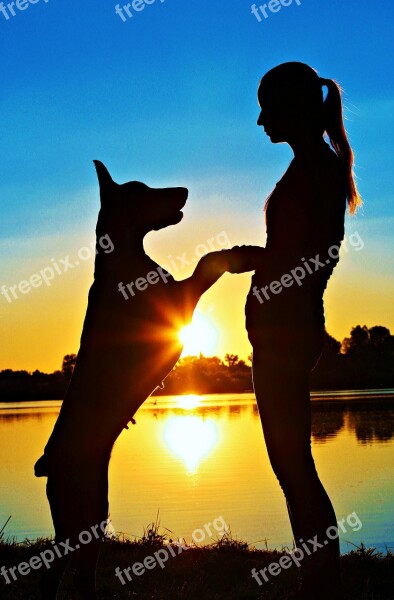 Doberman Woman Silhouette Sunrise Love