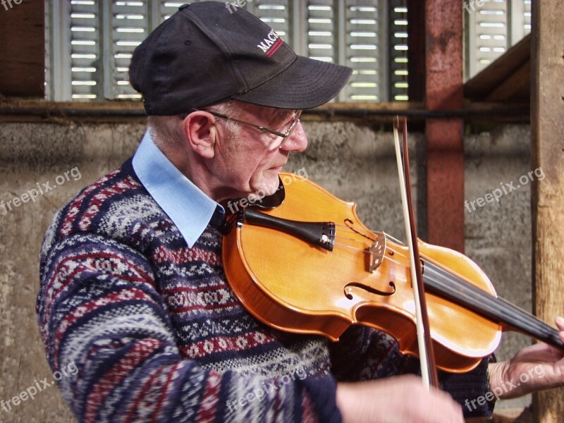 Fiddler Fiddle Instrument Music Musician