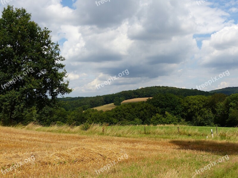 Summer Hate Mountains Upper Franconia Forest Free Photos