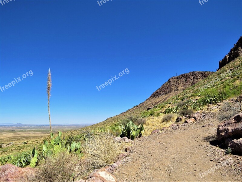 Hiking New Mexico Desert Landscape Free Photos