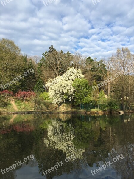 Atatürk Arboretum Botanical Garden Botanical Peace Nature