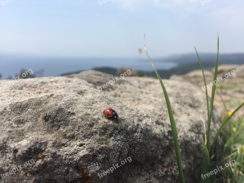 Assos Ancient City Nature Peace On