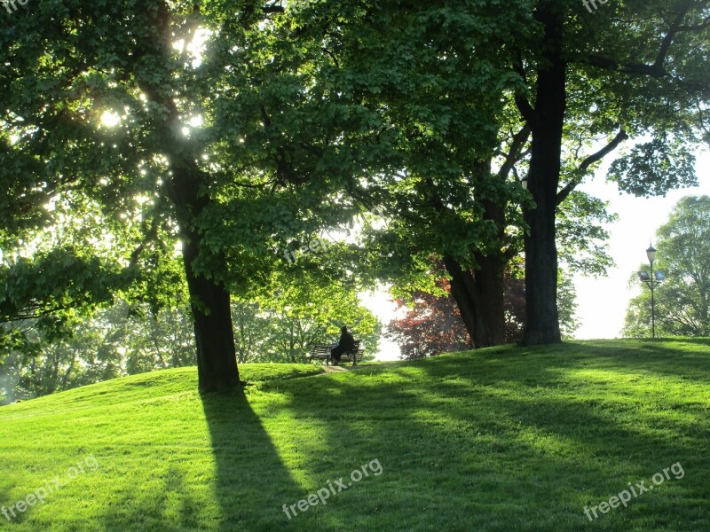 Relaxing Reading Park Silence Green