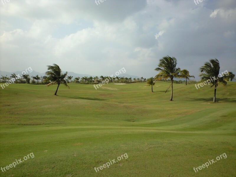 Plain Wood Landscape Free Photos